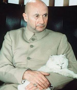 cat2
